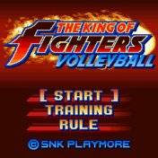 Download 'The King Of Fighters Volleyball (176x220)(Japanese)' to your phone